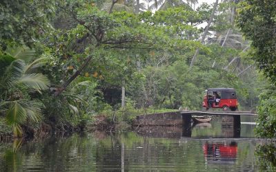 Bevis Bawa Garden Bentota