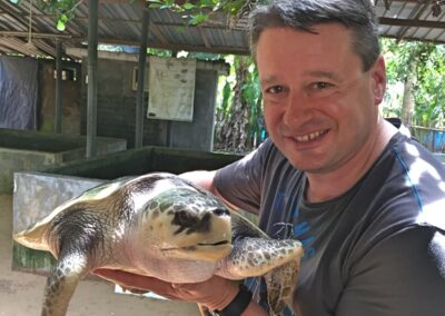 srilankareisen-ch-schildkröten